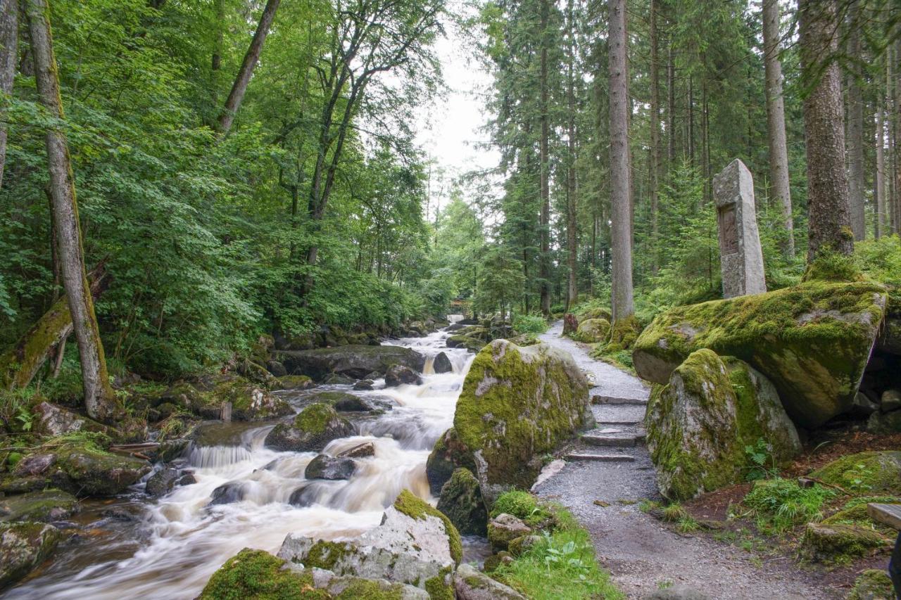 Ferienhaus Nordic Harmony Waldkirchen Exterior foto